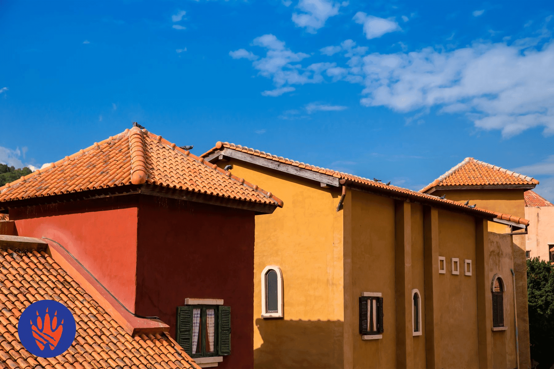 Keeping Safe From Pests While Living in an Apartment
