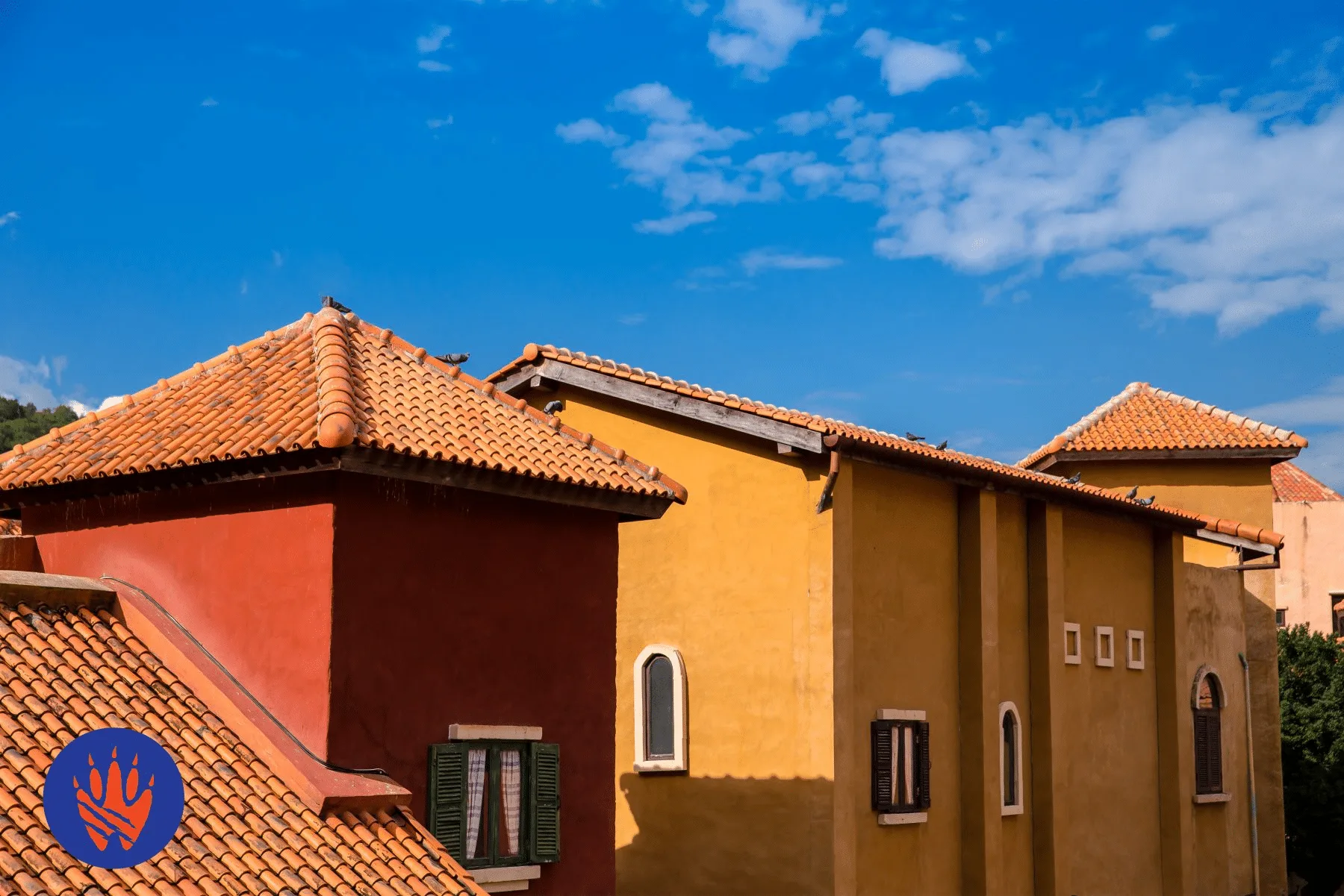 Keeping Safe From Pests While Living in an Apartment