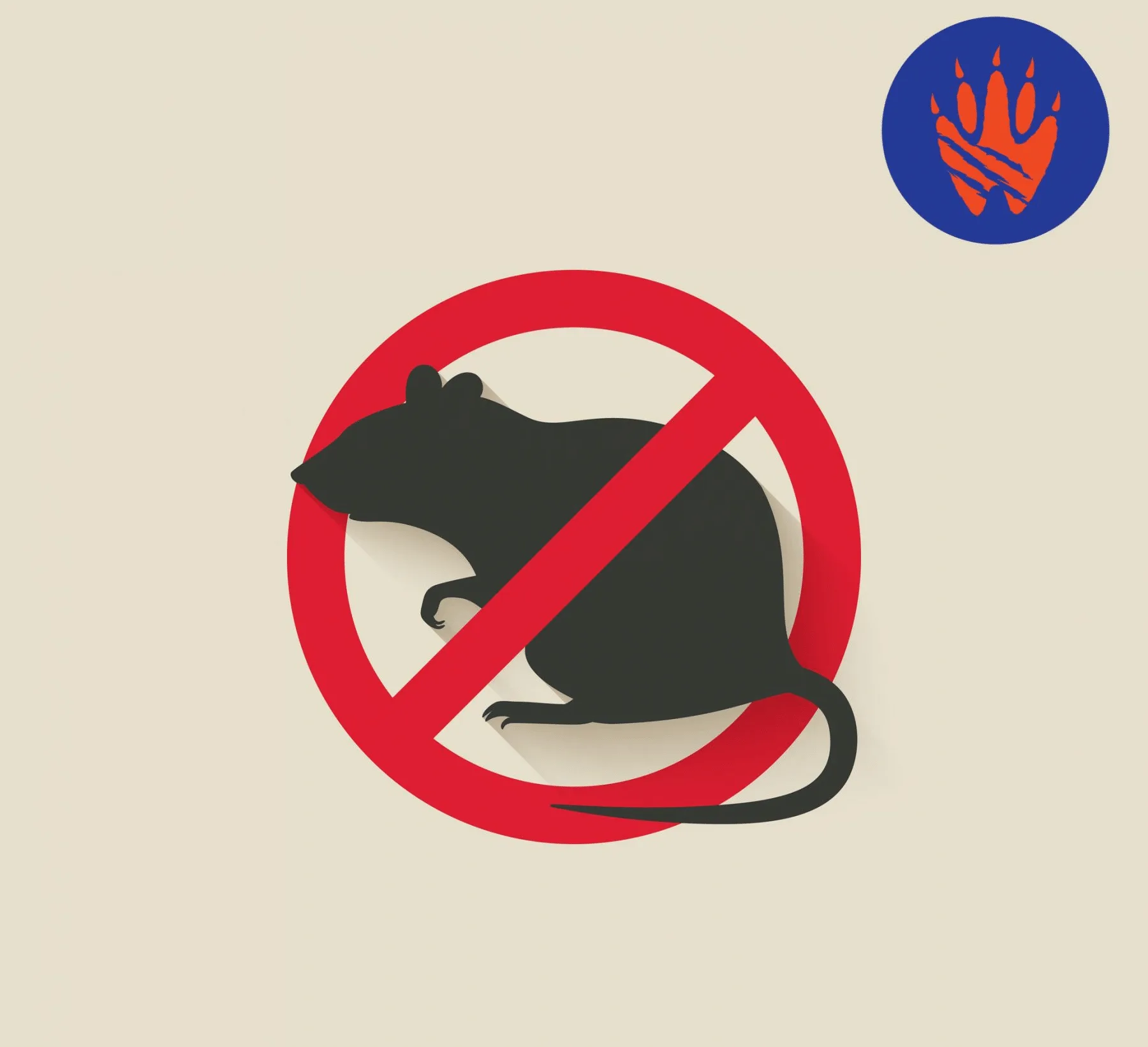 Rats and the Pandemic