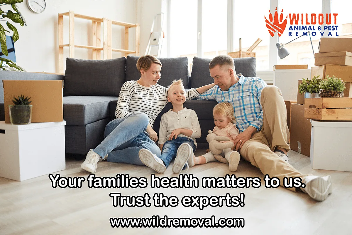 Why is Pest Control Considered Home Maintenance?
