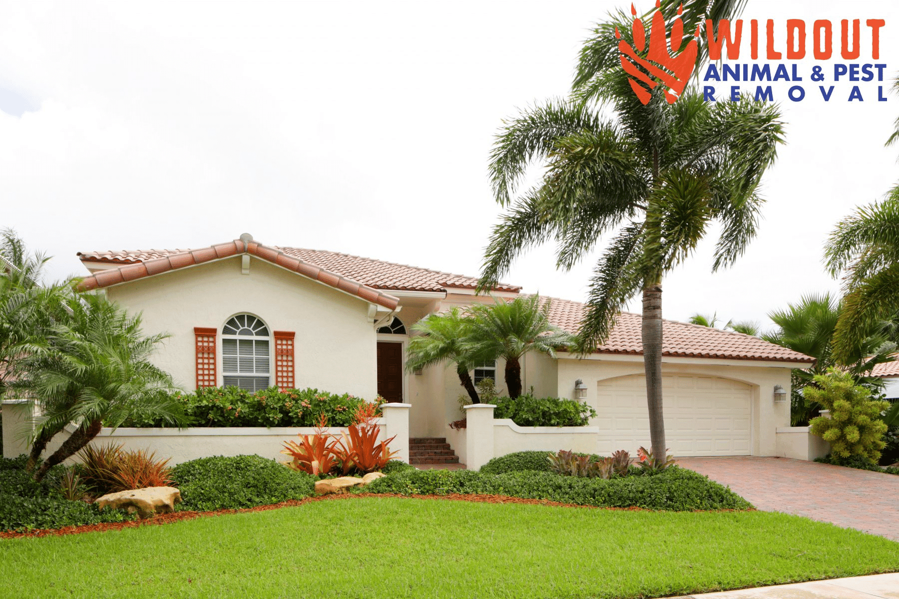 How Weather Affects Pests