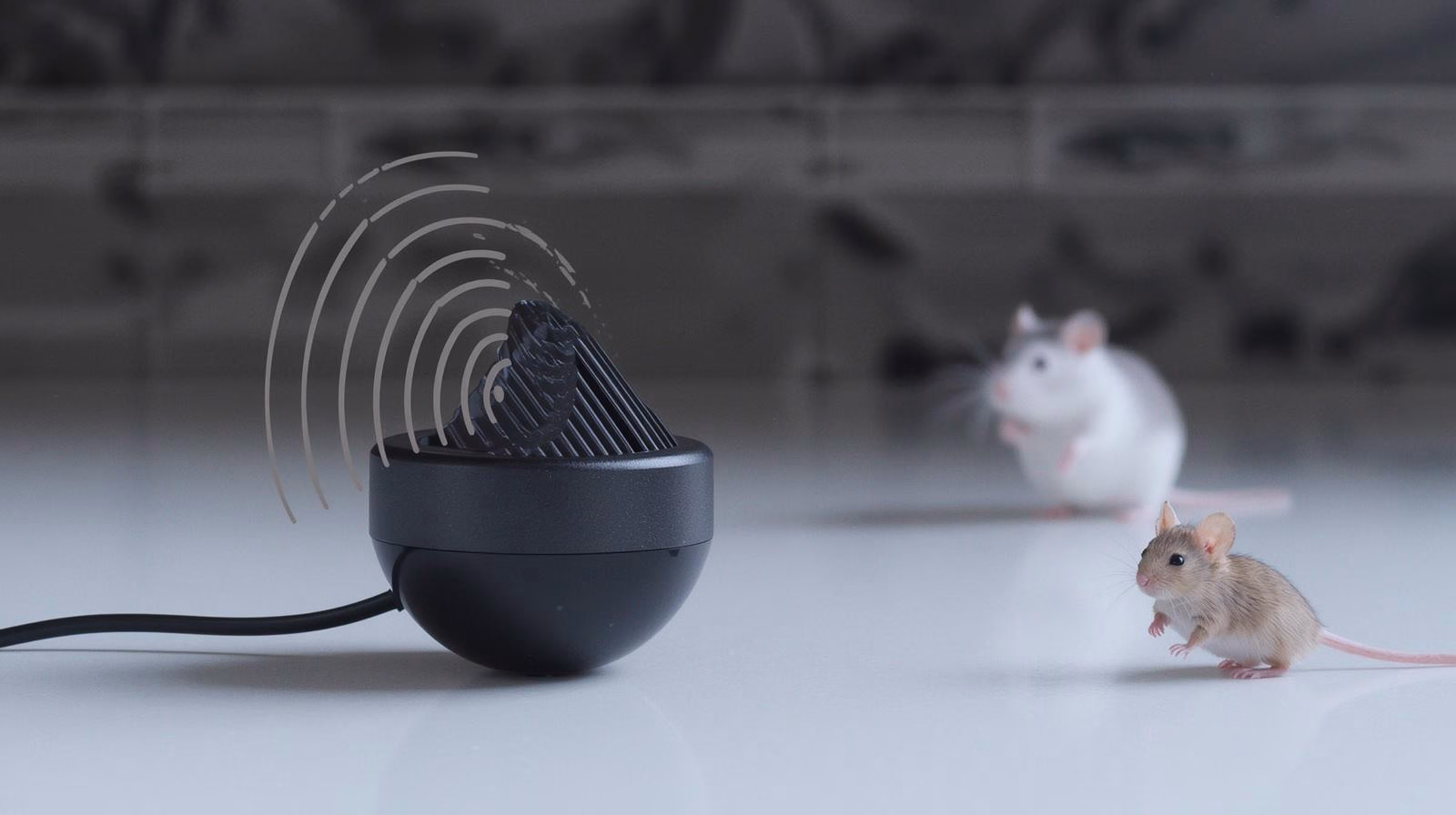 Do Ultrasonic Rodent Repellers Really Work? Pros and Cons